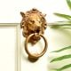 Brass Lion Face Door Knocker